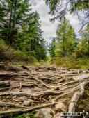 2025.09.27 - SZKLARSKA PORĘBA