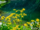 2025.07.19-26 - TATRY 2025