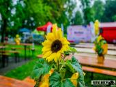 2025.08.30 NORDAN RUN 2025 - cz. 2