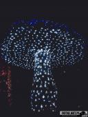 2024.12.29  - LUMINA PARK POZNAŃ