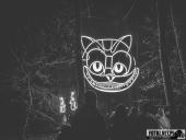 2024.12.29  - LUMINA PARK POZNAŃ