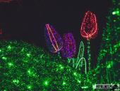 2024.12.29  - LUMINA PARK POZNAŃ