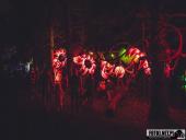 2024.12.29  - LUMINA PARK POZNAŃ