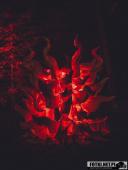 2024.12.29  - LUMINA PARK POZNAŃ