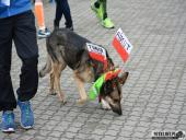 2017.05.07 - WINGS FOR LIVE WORLD RUN 2017