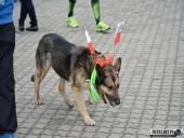 2017.05.07 - WINGS FOR LIVE WORLD RUN 2017