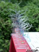 2016.05.29 - WOLSZTYŃSKA 10