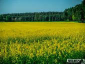 2025.04.25-26 - ULTRA CROSS GWiNT 2025 - cz. 10