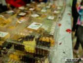 2025.08.03 - CHARYTATYWNY FESTYN ORAZ MARSZOBIEG - W RYTMIE SERCA DLA LILIANY - II EDYCJA - cz. 1