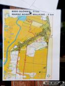 2017.10.15-CHARYTATYWNY BIEG ORAZ MARSZ NORDIC WALKING DLA JOWITY.