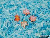 2025.10.11 - WARSZTATOWNIA PEŁNĄ PARĄ