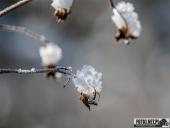 2025.11.23 - SZCZYT WALIGÓRA