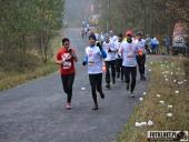 2016.11.11 - IV WOLSZTYŃSKI BIEG NIEPODLEGŁOŚCI CZ.2