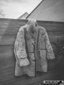 2025.04.21 - SIWKI W CHORZEMINIE