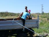 2019.06.30 - CHABER CHARYTATYWNY BERZYŃSKI BIEG Z PRZESZKODAMI - część 3,4 i 5