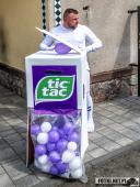 2025.04.21 - SIWKI W CHORZEMINIE