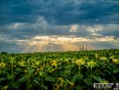 2025.08.08 - KOLEJNY PIĄTKOWY PORANEK