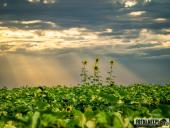 2025.08.08 - KOLEJNY PIĄTKOWY PORANEK