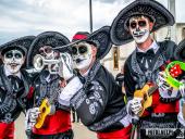 2025.04.21 - SIWKI W CHORZEMINIE