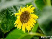 2025.08.08 - KOLEJNY PIĄTKOWY PORANEK