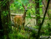 2025.08.08 - KOLEJNY PIĄTKOWY PORANEK