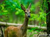 2025.08.08 - KOLEJNY PIĄTKOWY PORANEK