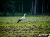 2025.08.08 - KOLEJNY PIĄTKOWY PORANEK