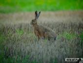 2025.08.08 - KOLEJNY PIĄTKOWY PORANEK