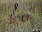 2025.08.08 - KOLEJNY PIĄTKOWY PORANEK