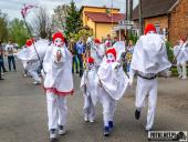 2025.04.21 - SIWKI W CHORZEMINIE