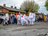 2025.04.21 - SIWKI W CHORZEMINIE