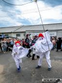 2025.04.21 - SIWKI W CHORZEMINIE