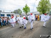 2025.04.21 - SIWKI W CHORZEMINIE