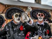 2025.04.21 - SIWKI W CHORZEMINIE