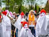 2025.04.21 - SIWKI W CHORZEMINIE