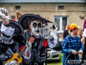 2025.04.21 - SIWKI W CHORZEMINIE