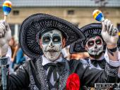 2025.04.21 - SIWKI W CHORZEMINIE