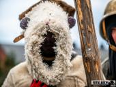 2025.04.21 - SIWKI W CHORZEMINIE