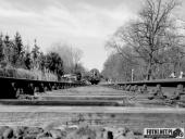 2018.04.07 - IV MARSZ KATYŃSKI