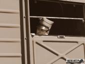 2018.04.07 - IV MARSZ KATYŃSKI