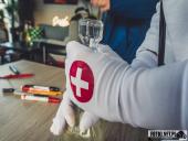 2025.02.09 - III Zmowy Dystans - Bieg Sztafetowy Morsów - cz. 1 z 3