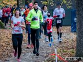 2024.11.11 - 11 WOLSZTYŃSKI BIEG NIEPODLEGŁOŚCI - cz. 2