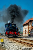Zdjęcie z galerii