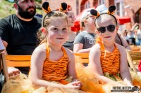 Zdjęcie z galerii