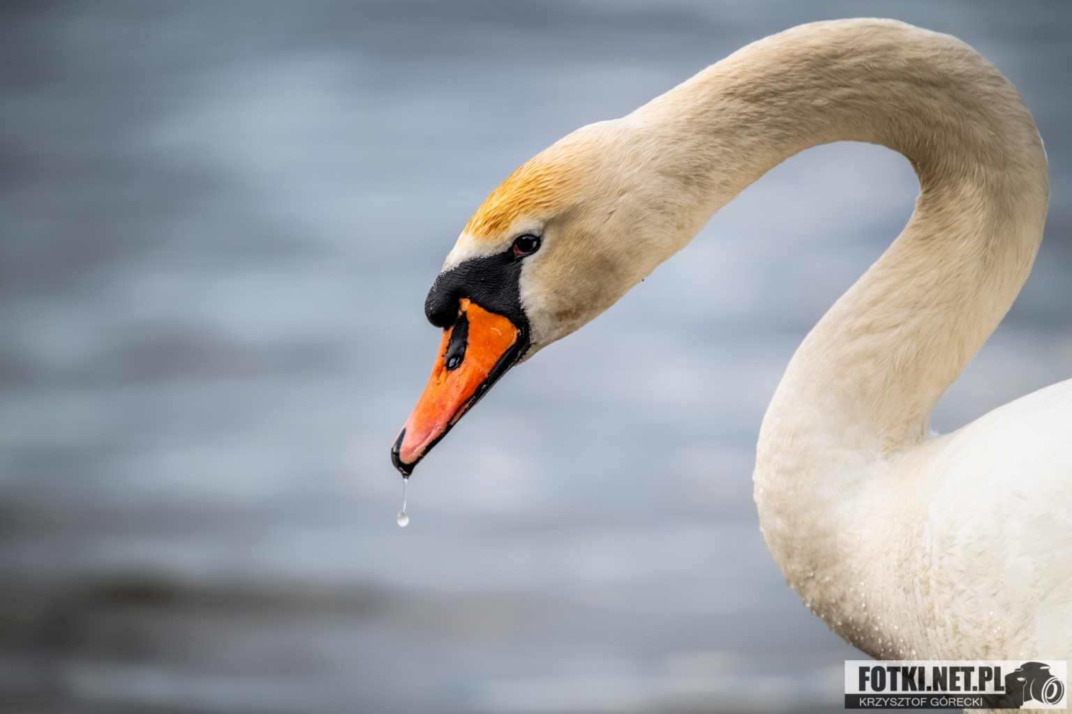 2025.03.31 - WOLSZTYŃSKA PLAŻA