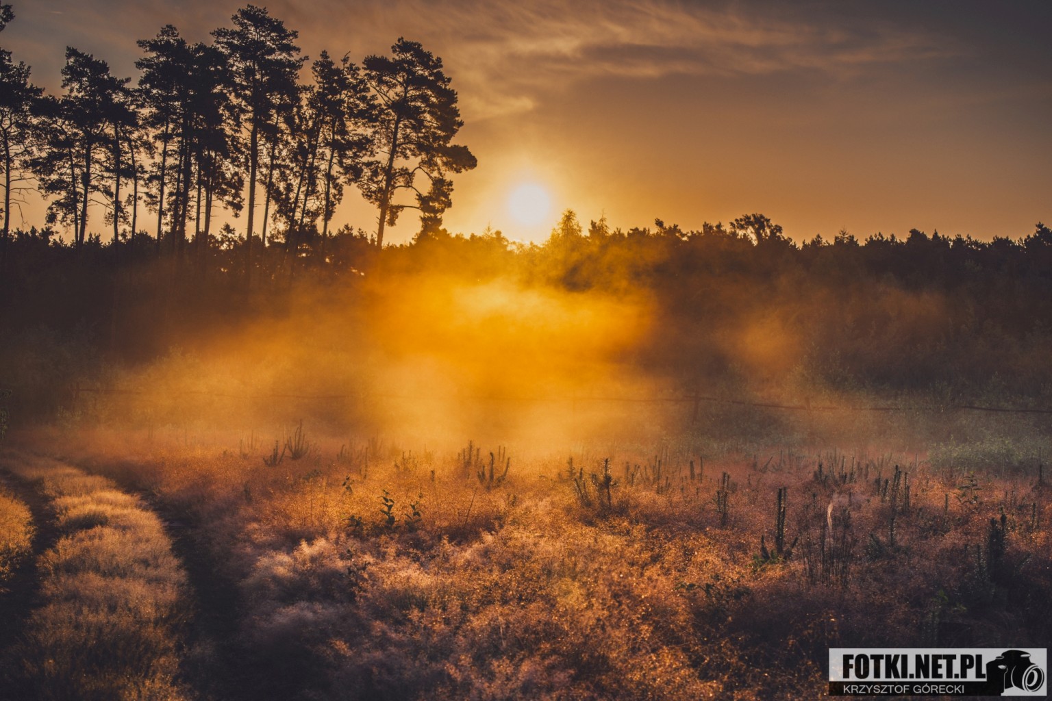 2025.06.27 - PIĄTKOWY PORANEK